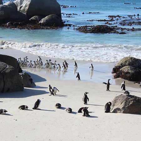 Simonʼs Town Boulders Beach House מראה חיצוני תמונה