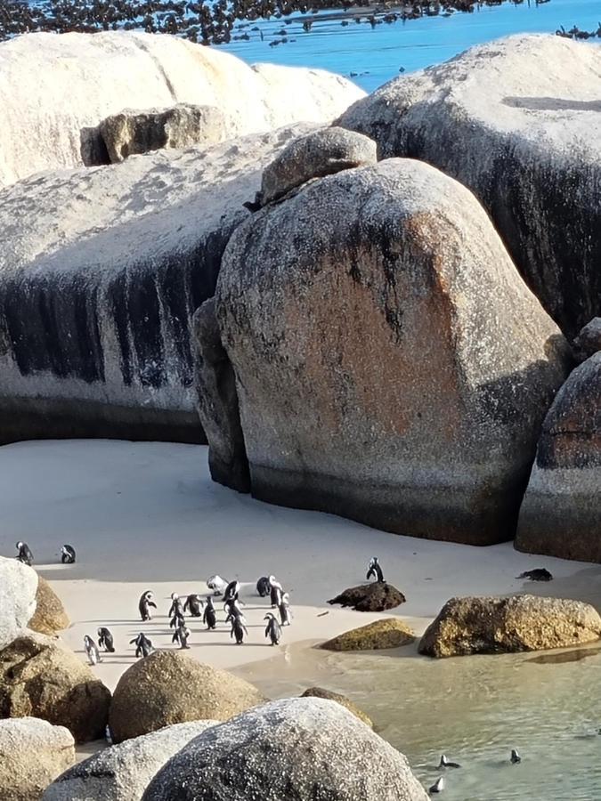 Simonʼs Town Boulders Beach House מראה חיצוני תמונה